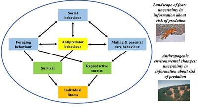 Ecological uncertainty and antipredator behaviour: an integrative perspective